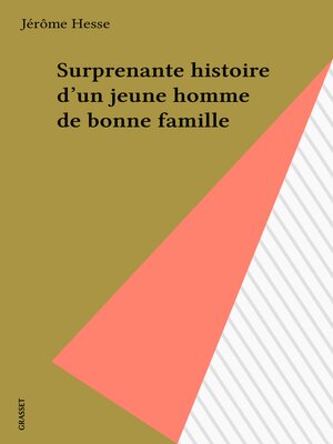 cover image of Surprenante histoire d'un jeune homme de bonne famille